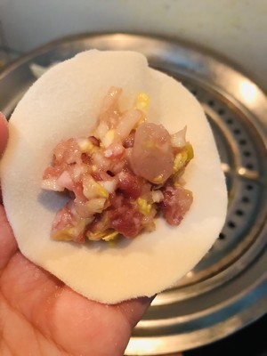 Chinese Dumpling Recipe